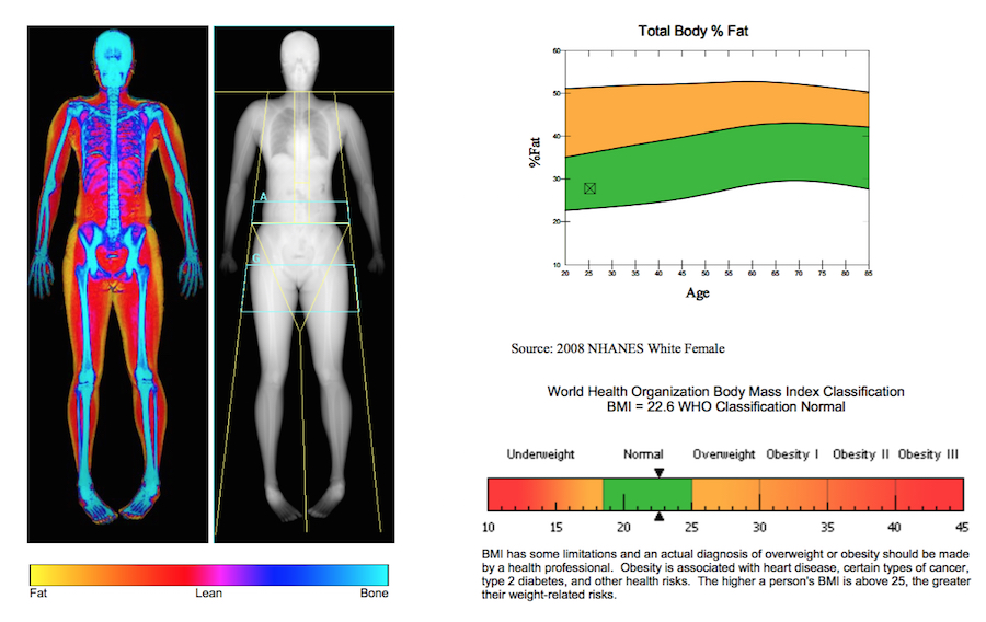 Introduction To Body Composition Assessment