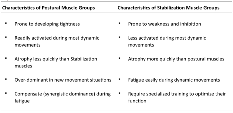 Tonic & Phasic Musculature